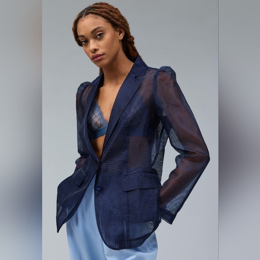Anthropologie Dolan Sheer Blazer - NWT - XS